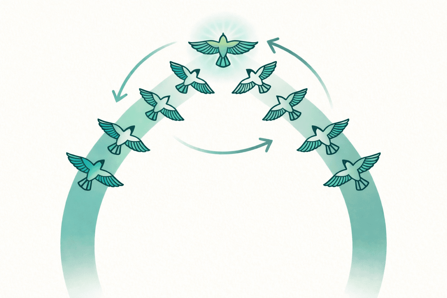 Multiple birds converging from different directions into a single unified formation